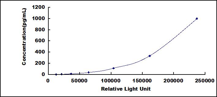 SCG970Ra.jpg