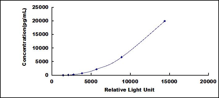 SCJ103Hu.jpg