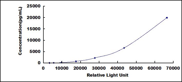 CLIA Kit for Cat Eye Syndrome Chromosome Region, Candidate 1 (CECR1)