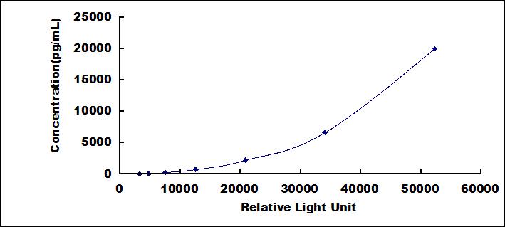 CLIA Kit for Neuroblastoma, Suppression Of Tumorigenicity 1 (NBL1)