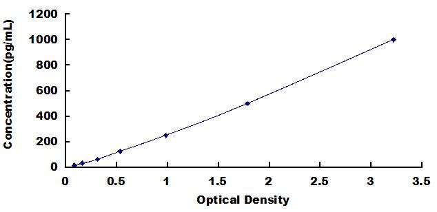 SEA073Eq.jpg