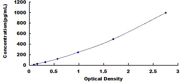 SEA077Eq.jpg