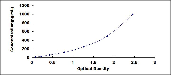 SEA078Eq.jpg