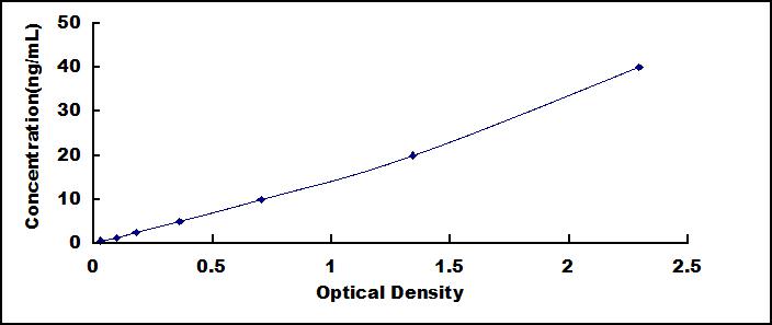 SEA084Eq.jpg