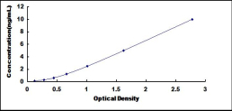 ELISA Kit for Matrix Metalloproteinase 23B (MMP23B)