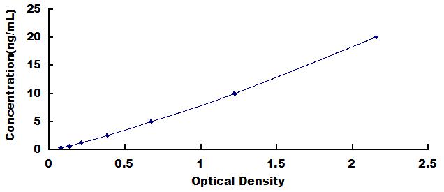 ELISA Kit for Matrix Metalloproteinase 12 (MMP12)