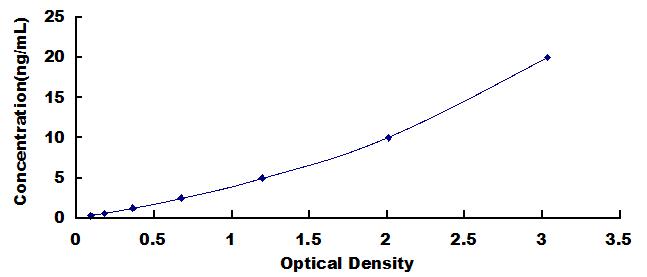 ELISA Kit for Calcium/Calmodulin Dependent Protein Kinase II Gamma (CAMK2g)