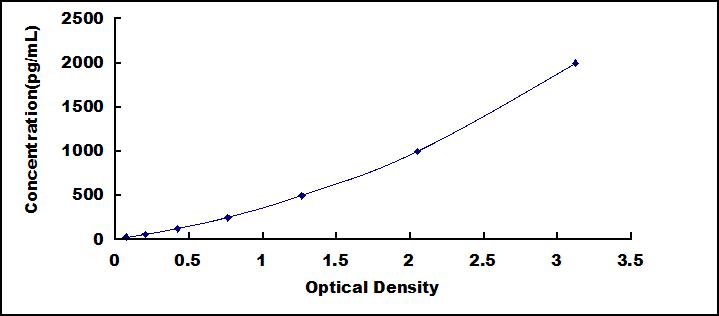 ELISA Kit for Gamma-synuclein (SNCG)