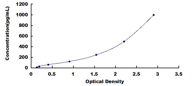 ELISA Kit for L1-Cell Adhesion Molecule (L1CAM)