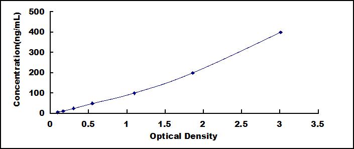 SEC011Ra.jpg