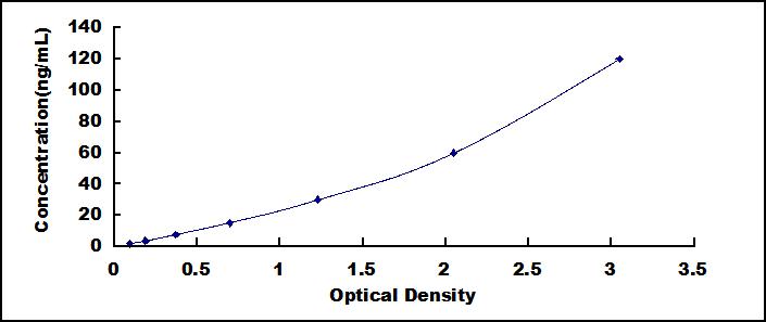 ELISA Kit for Filamin A Alpha (FLNa)