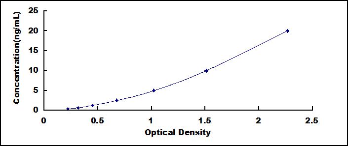 ELISA Kit for Quiescin Q6 Sulfhydryl Oxidase 1 (QSOX1)