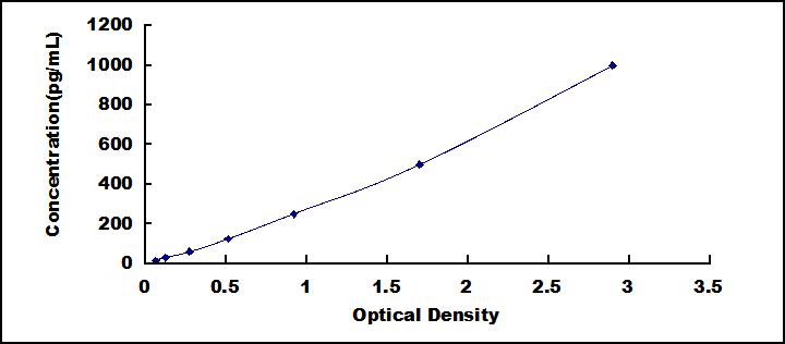 SEE037Ra.jpg