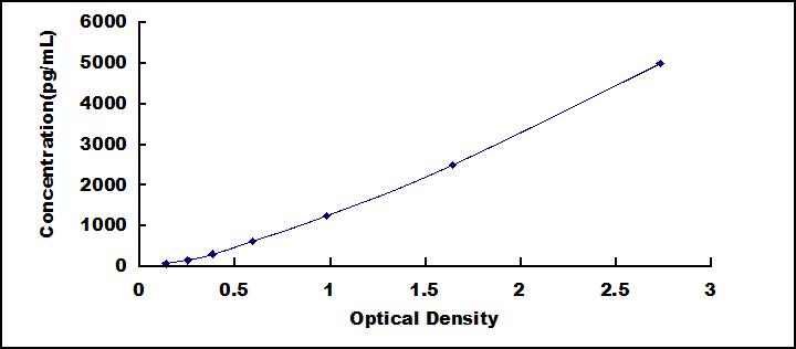 SEE138Ca.jpg