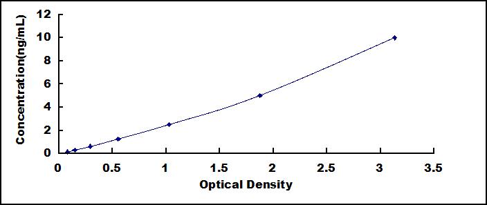 SEE256Hu.jpg