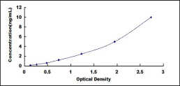 SEE385Hu.jpg