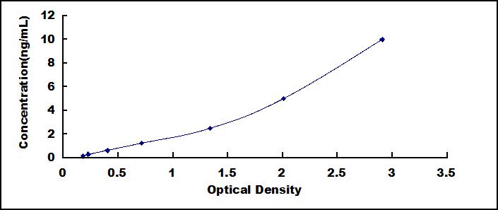 SEE410Hu.jpg