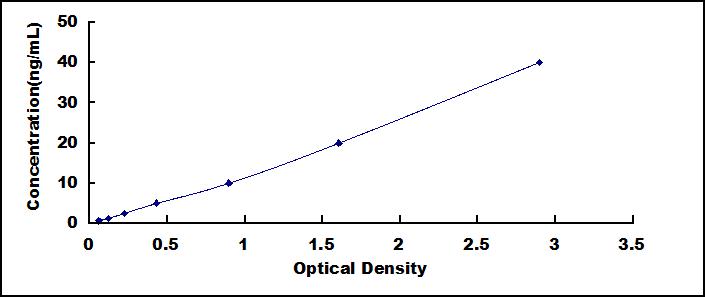 SEE625Hu.jpg