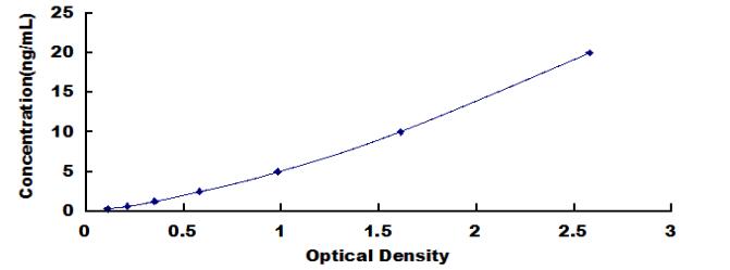 SEE865Hu.jpg