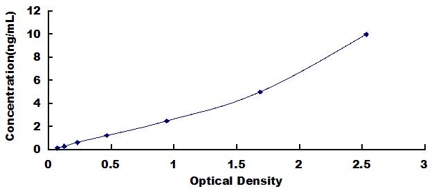 ELISA Kit for Ribosomal Protein, Large, P2 (RPLP2)