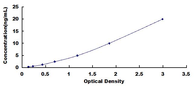 ELISA Kit for Dual Specificity Phosphatase 6 (DUSP6)