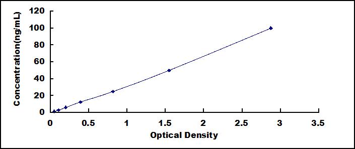 ELISA Kit for Transketolase (TKT)