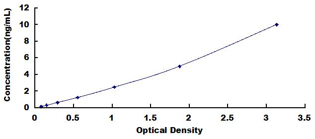 ELISA Kit for Splicing Factor 3B Subunit 3 (SF3B3)