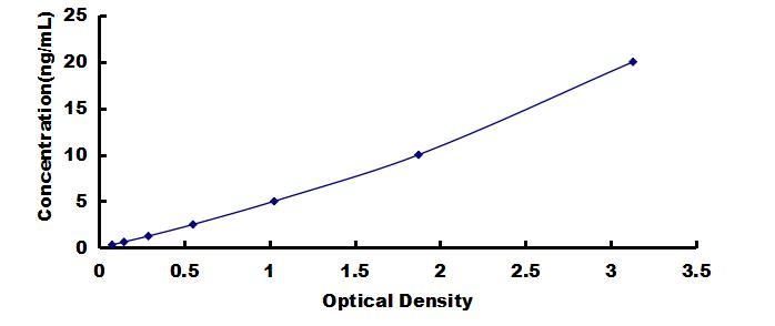 SEM681Hu.jpg