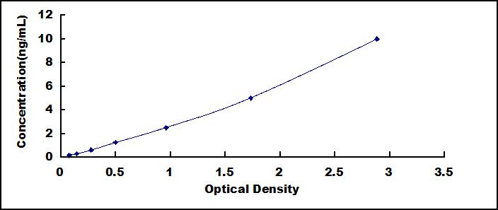 SEQ282Hu.jpg