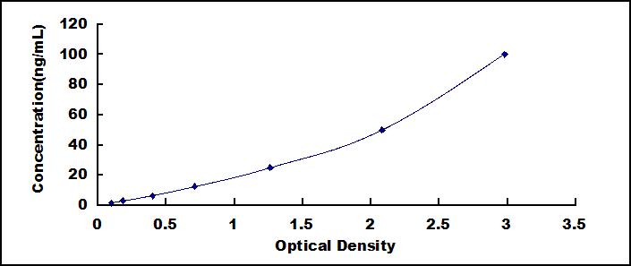 Wide-range ELISA Kit for Matrix Metalloproteinase 2 (MMP2)