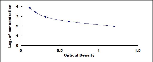 Wide-range ELISA Kit for C-Peptide (CP)