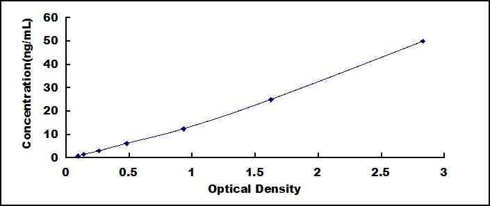 Wide-range ELISA Kit for Complement Factor B (CFB)