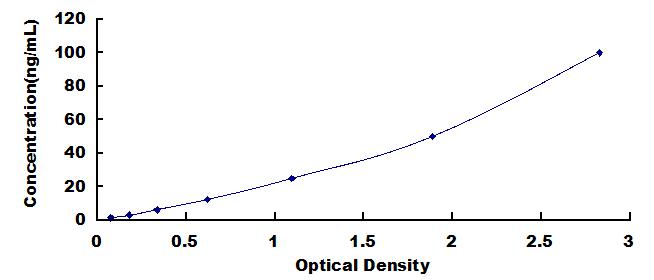 Wide-range ELISA Kit for Lysyl Oxidase (LOX)