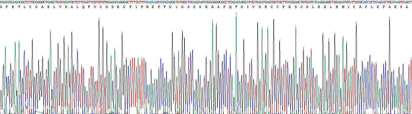 Active Insulin Like Growth Factor 1 (IGF1)