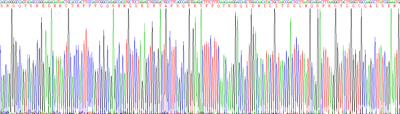 Active Interleukin 10 (IL10)