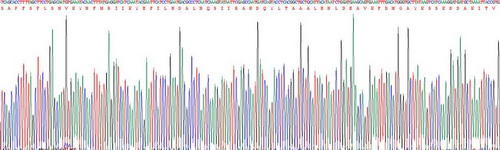 Active Interleukin 1 Alpha (IL1a)