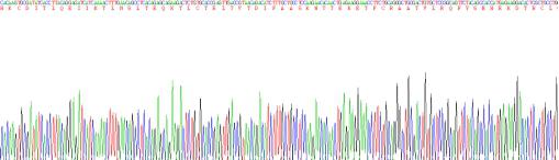 Active Interleukin 4 (IL4)