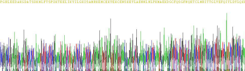 Active Interleukin 6 (IL6)