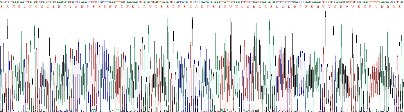 Active Interleukin 8 (IL8)