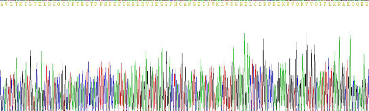 Active Interleukin 8 (IL8)