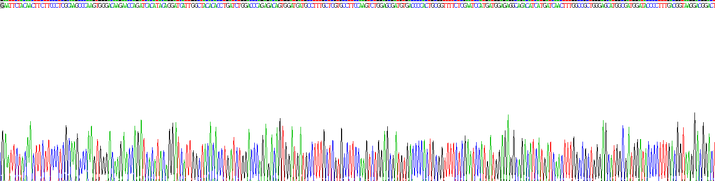 Active Matrix Metalloproteinase 2 (MMP2)