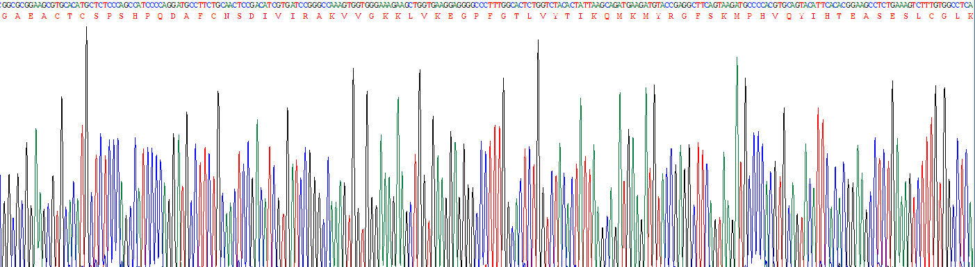 Active Tissue Inhibitors Of Metalloproteinase 3 (TIMP3)