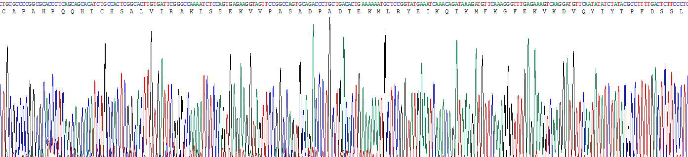 Active Tissue Inhibitors Of Metalloproteinase 4 (TIMP4)