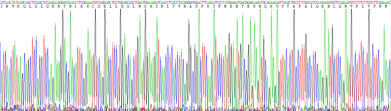 Active Interferon Beta (IFNb)