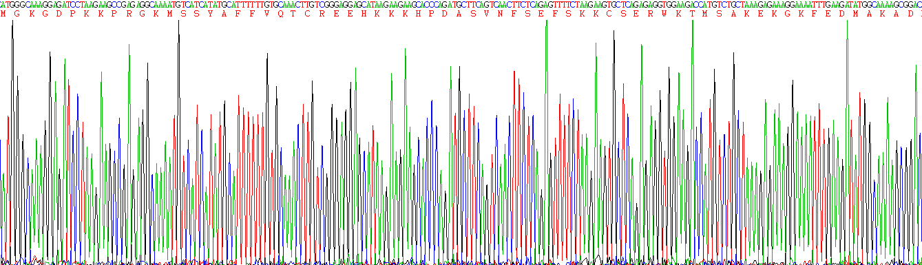 Active High Mobility Group Protein 1 (HMGB1)