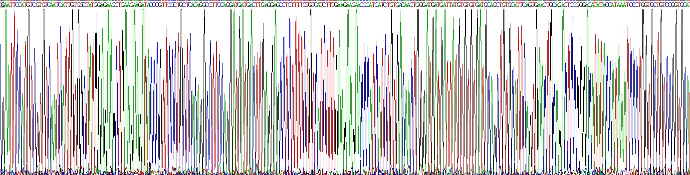 Active Interleukin 1 Beta (IL1b)