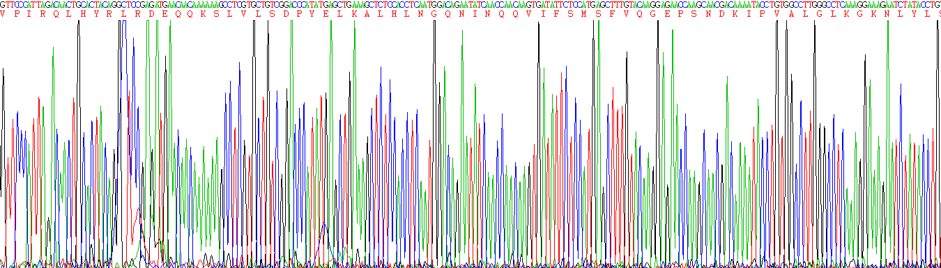 Active Interleukin 1 Beta (IL1b)