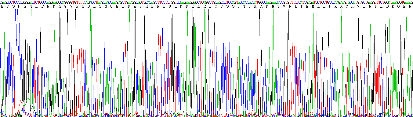 Active Amiloride Binding Protein 1 (ABP1)