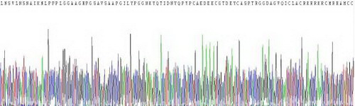 Active Dickkopf Related Protein 1 (DKK1)