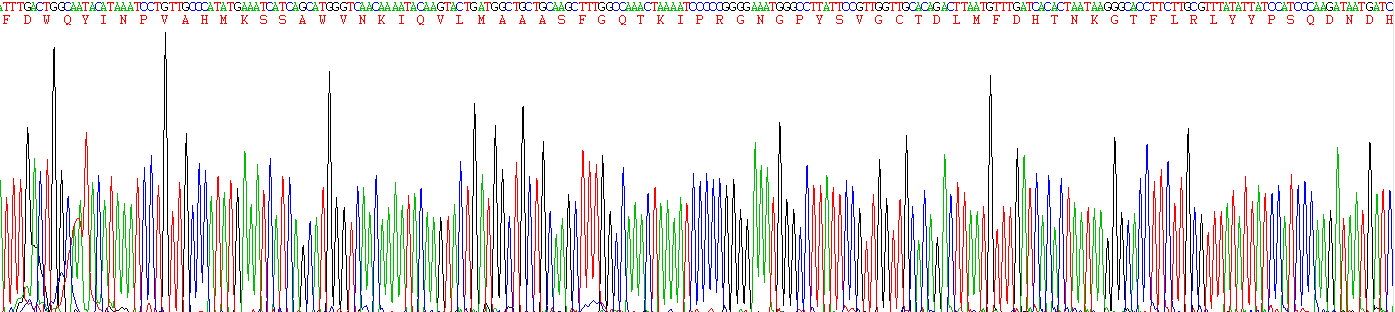 Active Phospholipase A2 Group VII (LpPLA2)